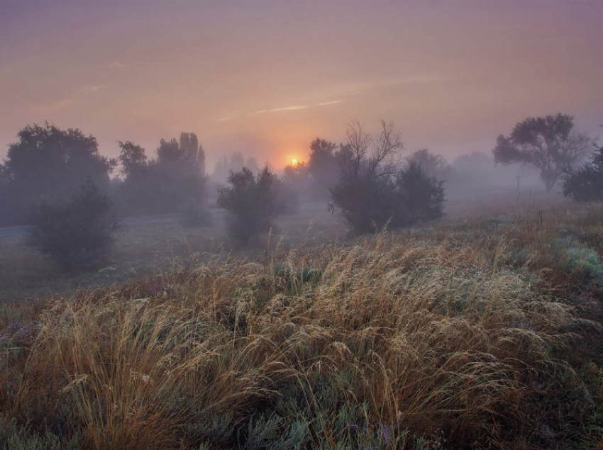 Август в Воронежской области стал самым холодным за последние 16 лет 