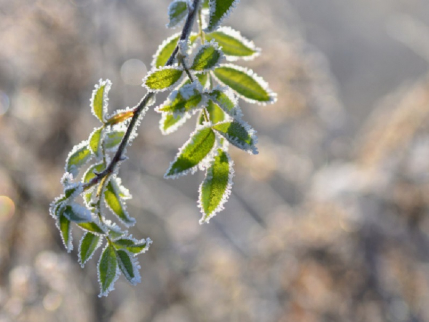 Почему пошёл снег и какую погоду ожидать в последние дни апреля в Воронежской области,  рассказали синоптики