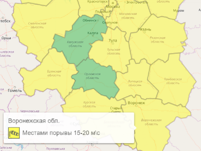 На территории Воронежской области объявили желтый уровень опасности из-за сильного ветра