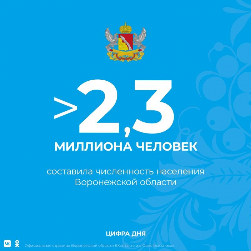 Численность жителей Воронежской области – более 2,3 млн: если верить Всероссийской переписи