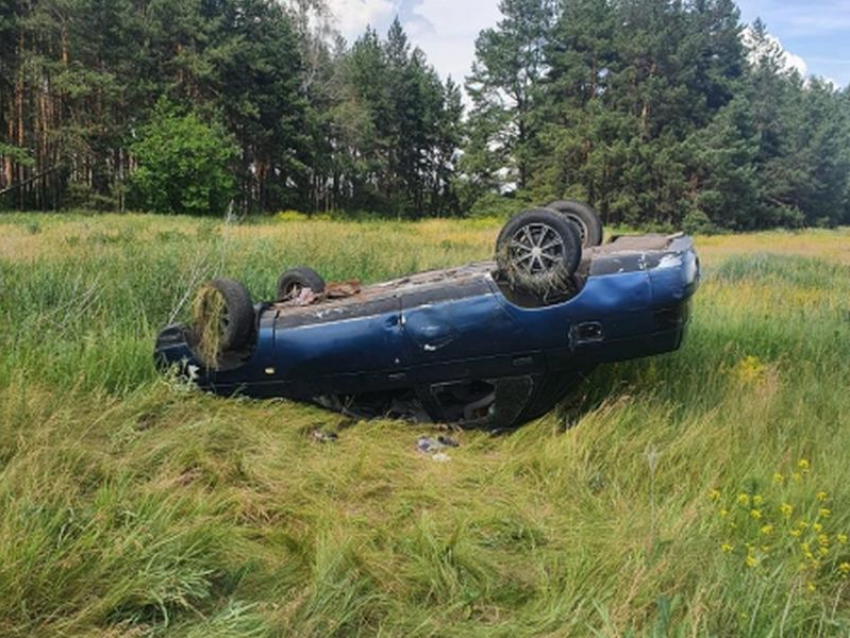 3-летний ребенок пострадал в ДТП с пьяным водителем в Грибановском районе