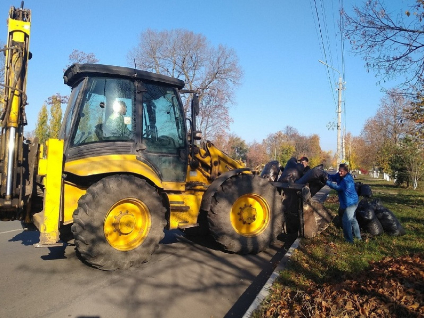 В Борисоглебске начался месячник благоустройства