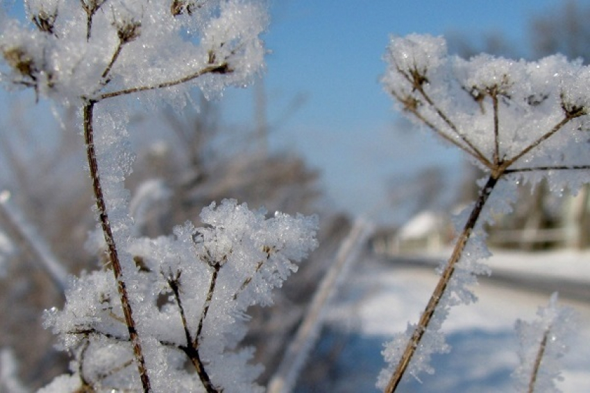 Морозы со снегом ударят по Борисоглебску на выходных