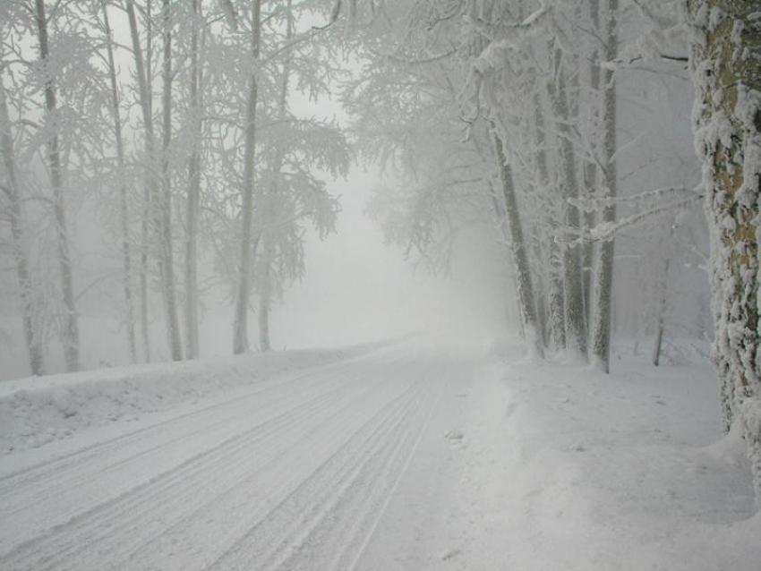 Синоптики предупредили жителей Воронежской области об опасной погоде