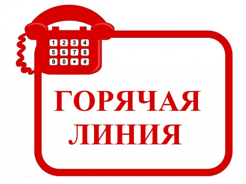 В Воронежской области будет работать горячая линия по вопросам качества детских товаров