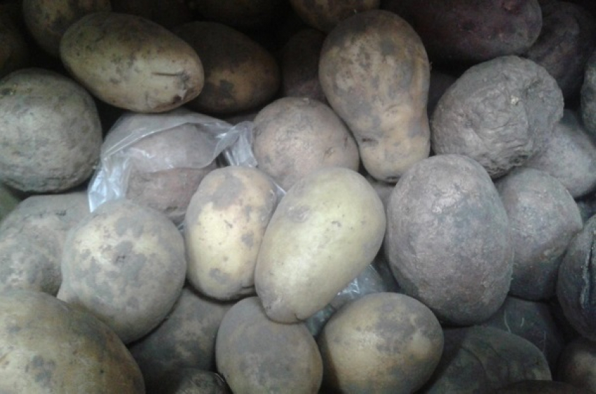 Качеством продаваемого картофеля жительницу Борисоглебска удивил магазин Магнит