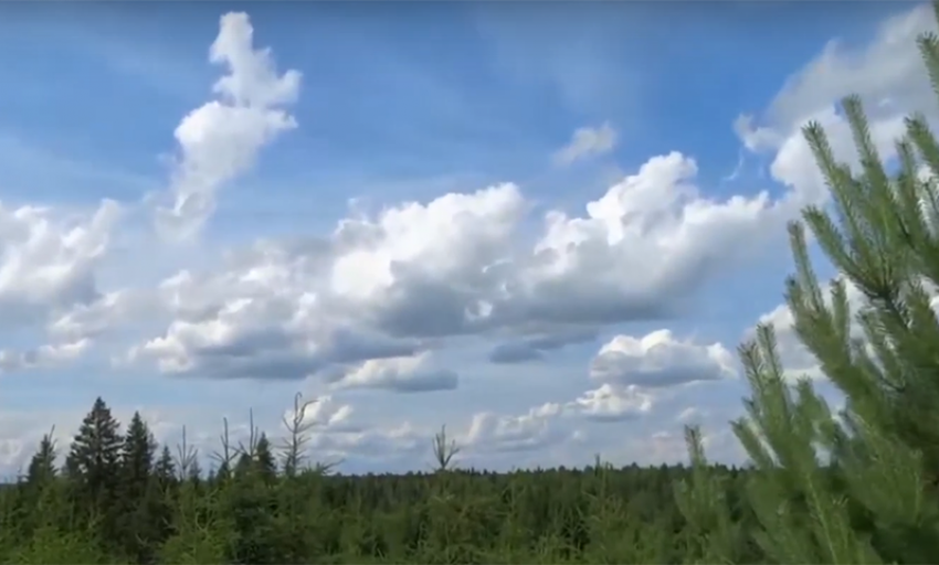 Что не так с этим летом – разбирался мобкор «Блокнота»