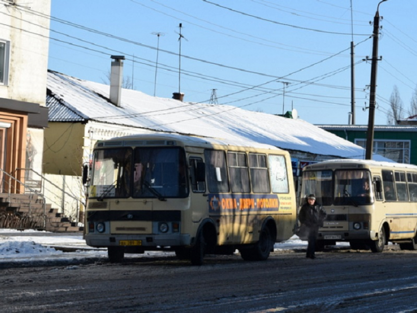 На хамство водителя маршрутки пожаловалась жительница Борисоглебска