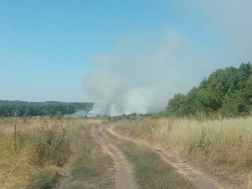 В Грибановском районе горит луг. Фото нашего нар.корра с места событий.
