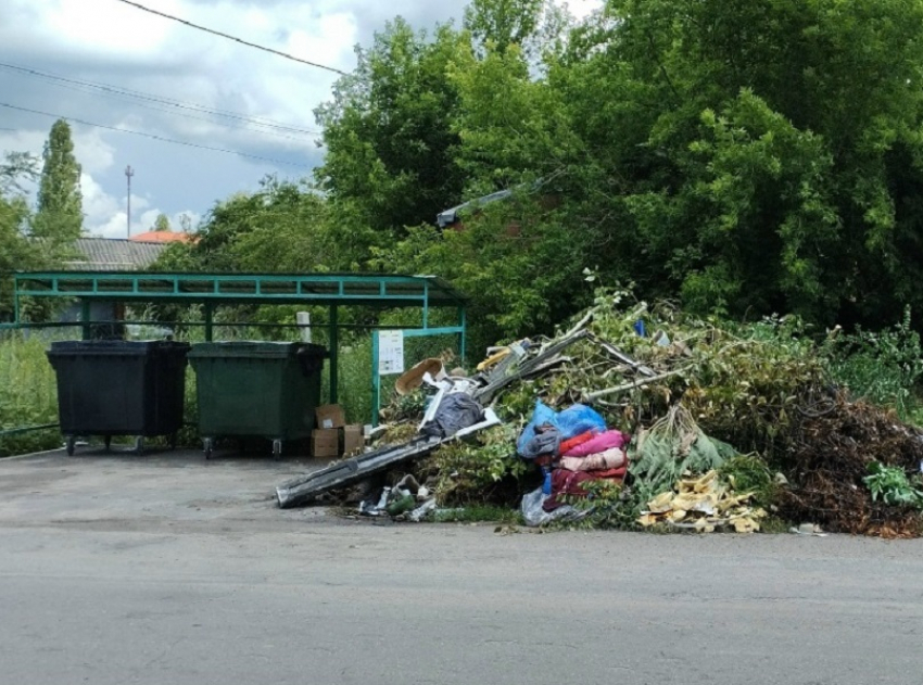 Воронежская область оказалась в числе самых «замусоренных» регионов