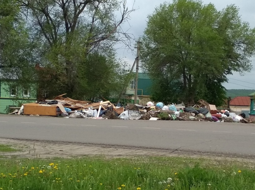 «За что платим, господа?» Регоператор отказывается убирать мусор в Борисоглебске