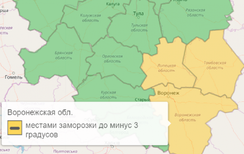 Из-за ночных заморозков в Воронежской области объявили теперь уже оранжевый уровень опасности