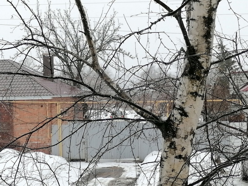 Оттепель и снегопады нагрянут в Воронежскую область в первые дни весны