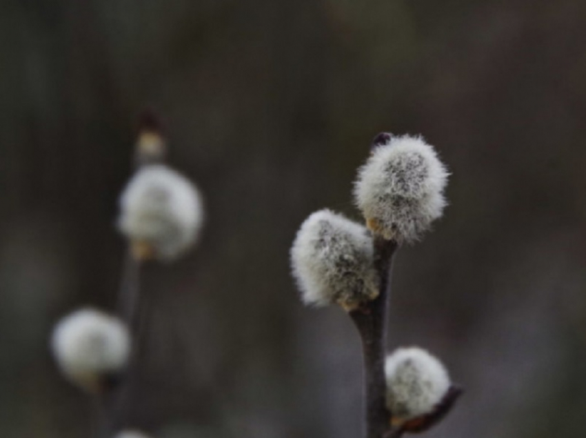 В Воронежскую область нагрянет похолодание