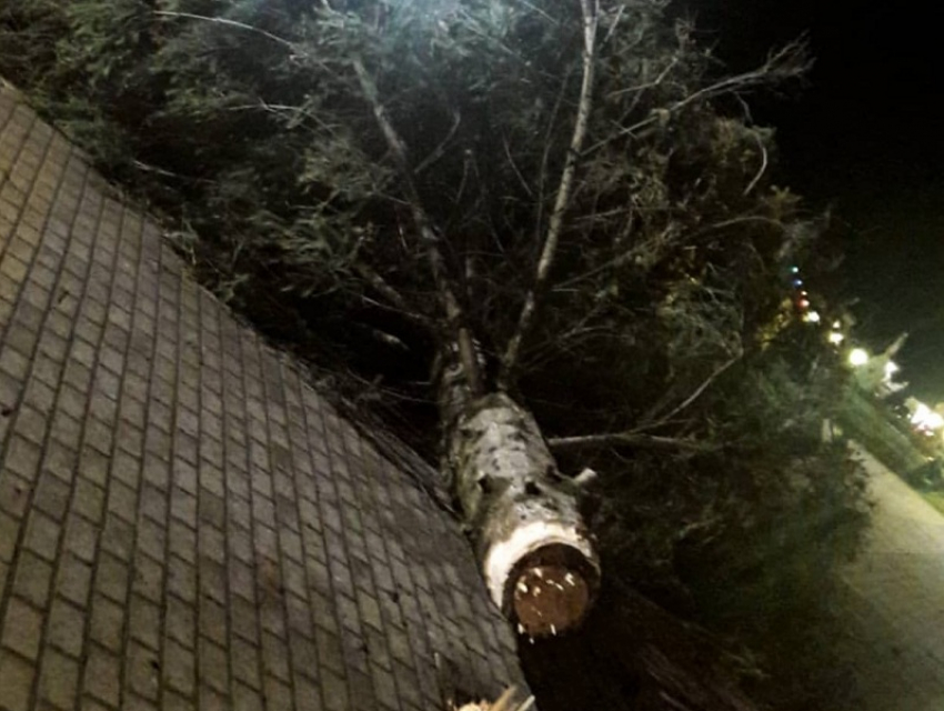 В Новохоперске упала главная городская ёлка