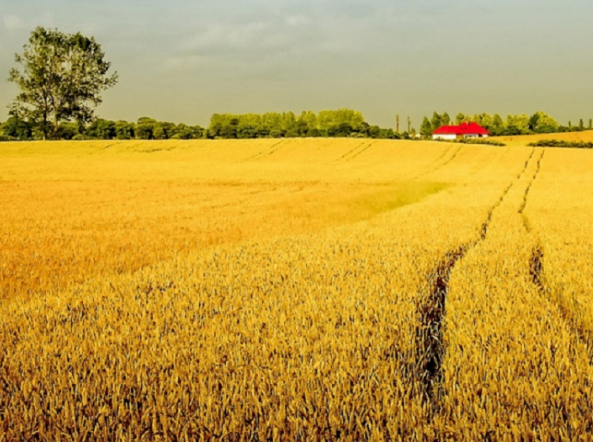 Названия 22 населённых пунктов из Воронежской области вошли в число самых смешных в стране