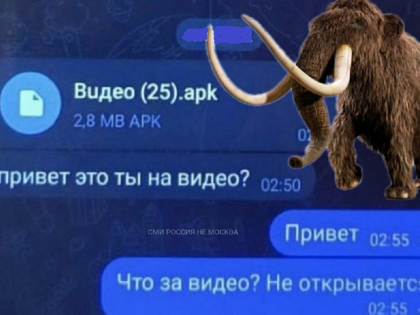 Житель Грибановского района потерял 30 тысяч рублей из-за вредоносного вируса 