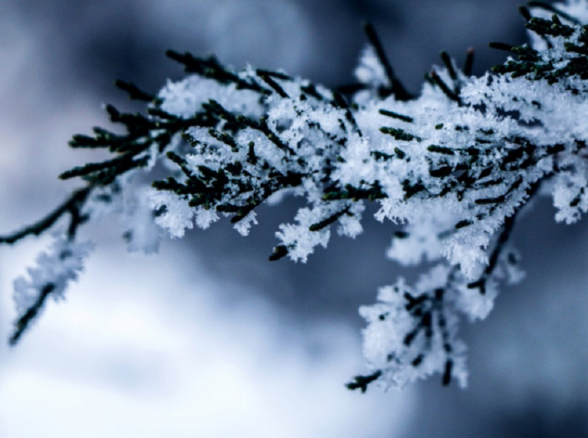 ВНИМАНИЕ! В Воронежской области объявили штормовое предупреждение из-за аномальных морозов
