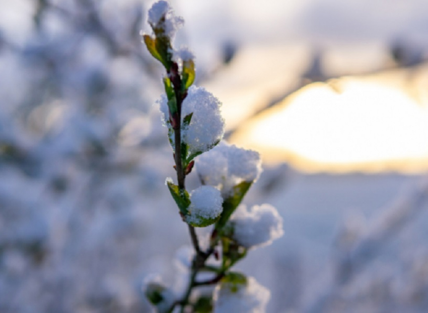 Резкое похолодание придёт в Воронежскую область на праздничных выходных