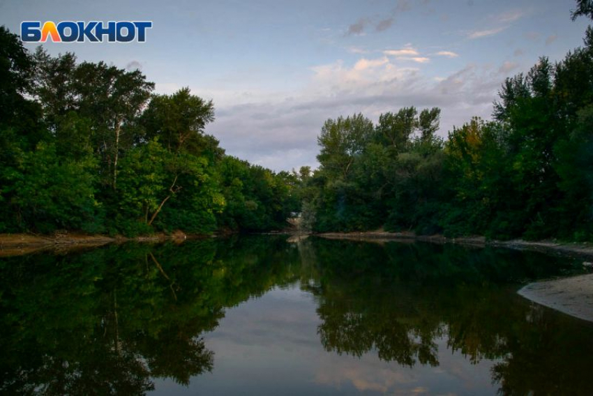 Почти 90 млн рублей потратят на расчистку рек в Воронежской области