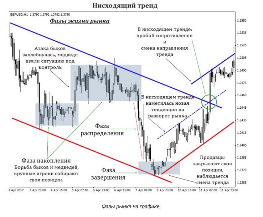 Какими инструментами пользоваться начинающему трейдеру?