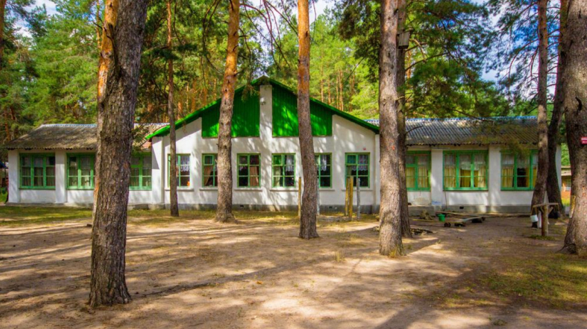 Стоимость путевок в детские лагеря Воронежской области станет выше