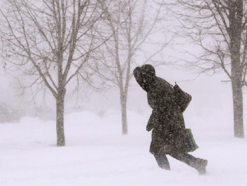Жителей Воронежской области предупредили об опасном усилении ветра