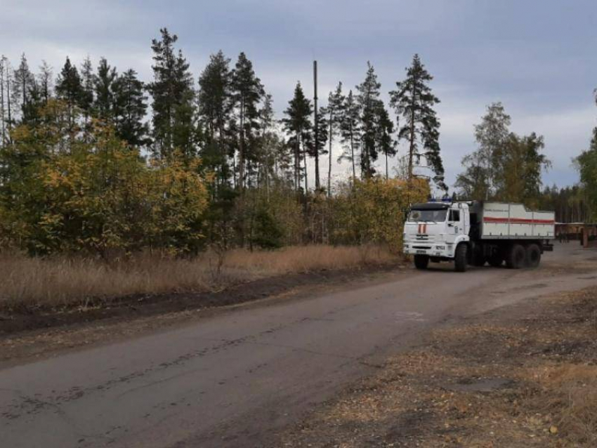 В Воронежской области на фоне бушующих пожаров запретили заезжать в леса на автомобилях 