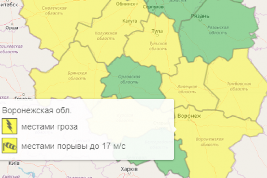Желтый уровень опасности объявили в Воронежской области из-за грозы и сильного ветра