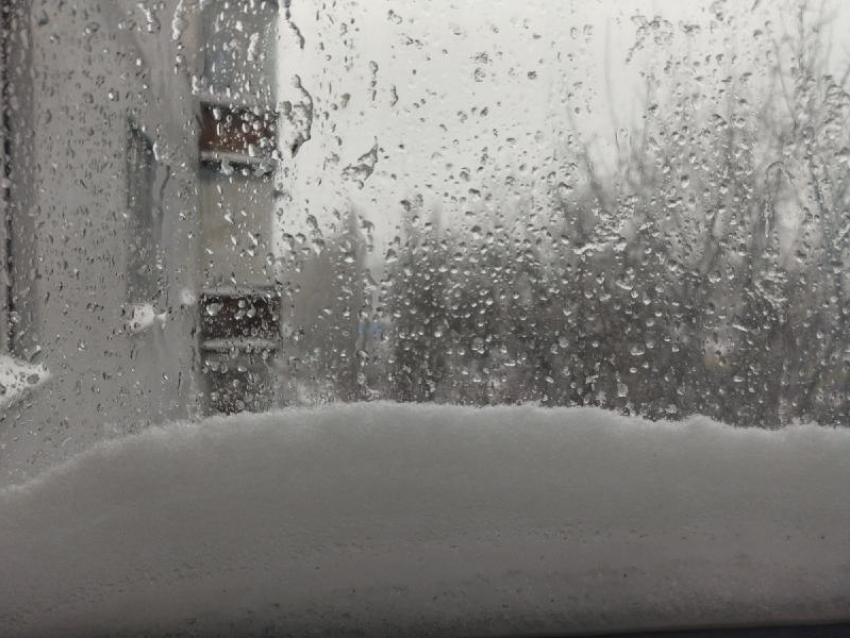 Мокрый снег и дождь нагрянут в Воронежскую область в начале рабочей недели