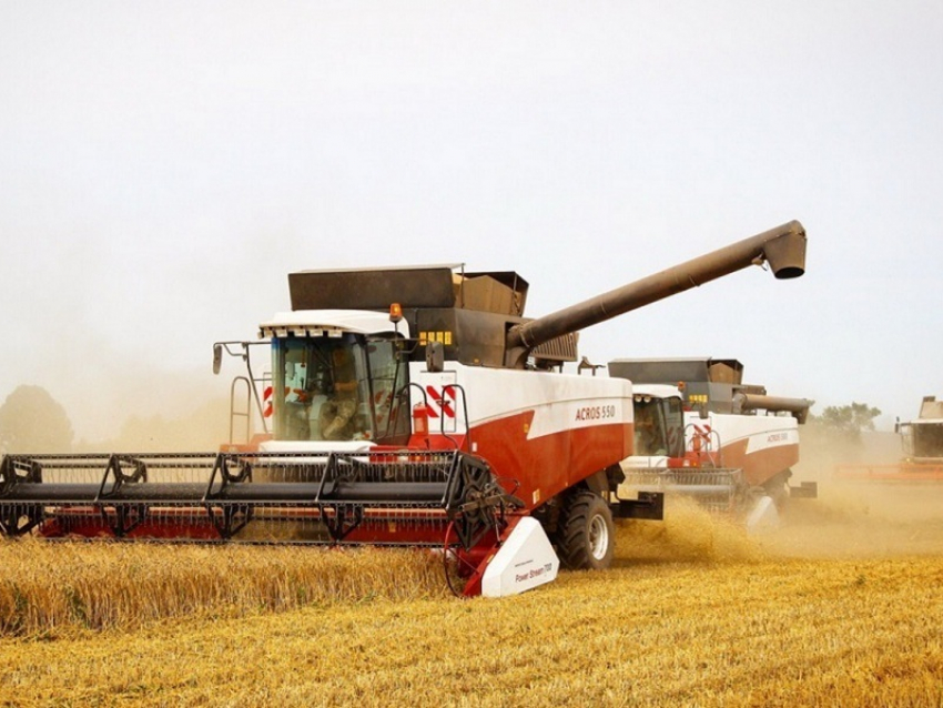 В Грибановском районе стартовала уборочная кампания