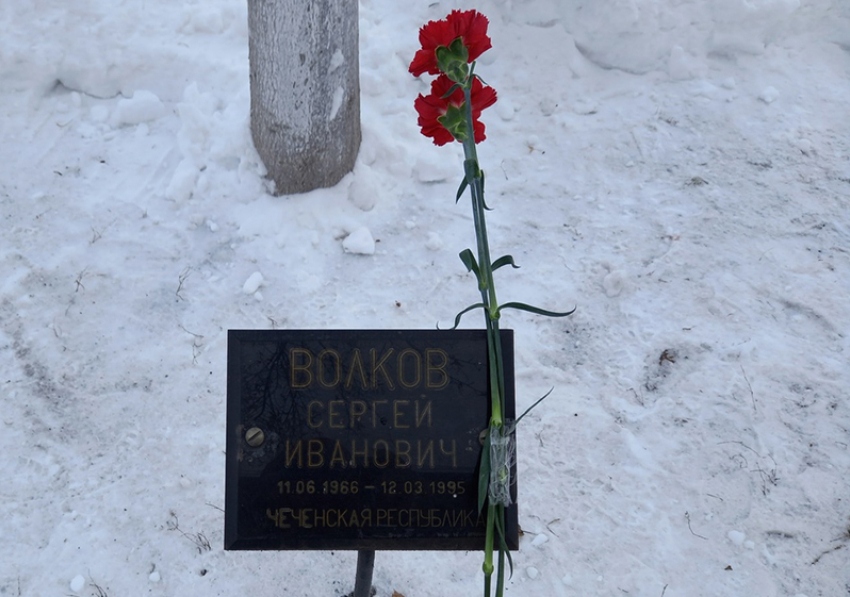 Борисоглебские студенты возложили цветы к «каштанам Памяти»