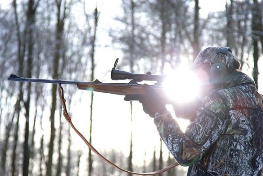  Дикая охота: в Воронежской области любители пострелять более 500 раз нарушили закон 