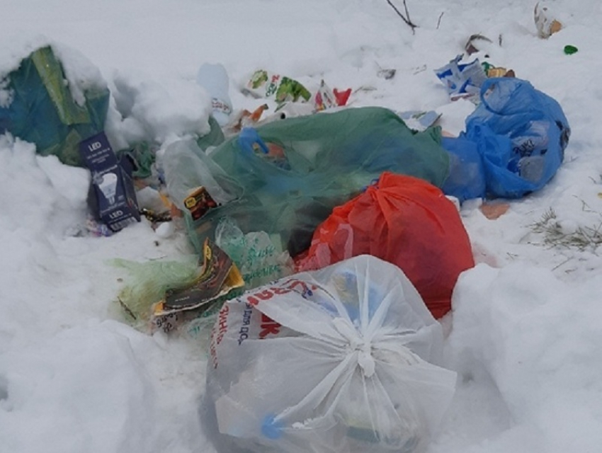 Новохоперцы пожаловались на неубранный коммунальщиками мусор