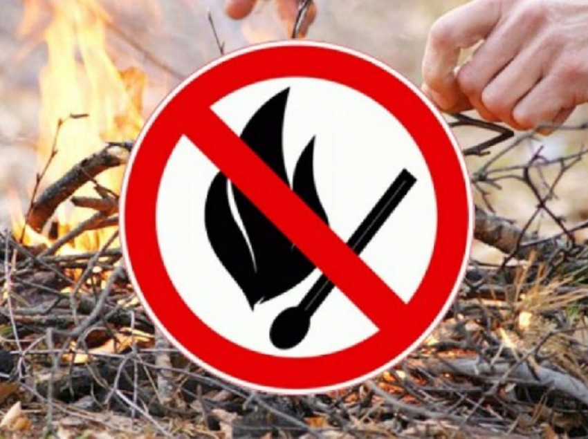 Особый противопожарный режим на территории Воронежской области введут с 1 апреля