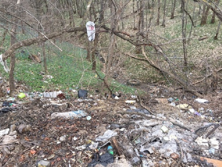 Борисоглебцев и грибановцев позвали на субботник на берег Вороны