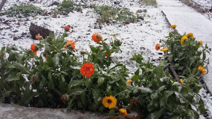 «Зимы ждала, ждала природа…»: главный метеоролог Воронежской области дал прогноз на первый снег