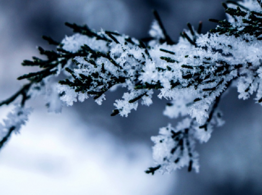 За неделю из-за обморожения 28 человек обратились за медицинской помощью в Воронежской области