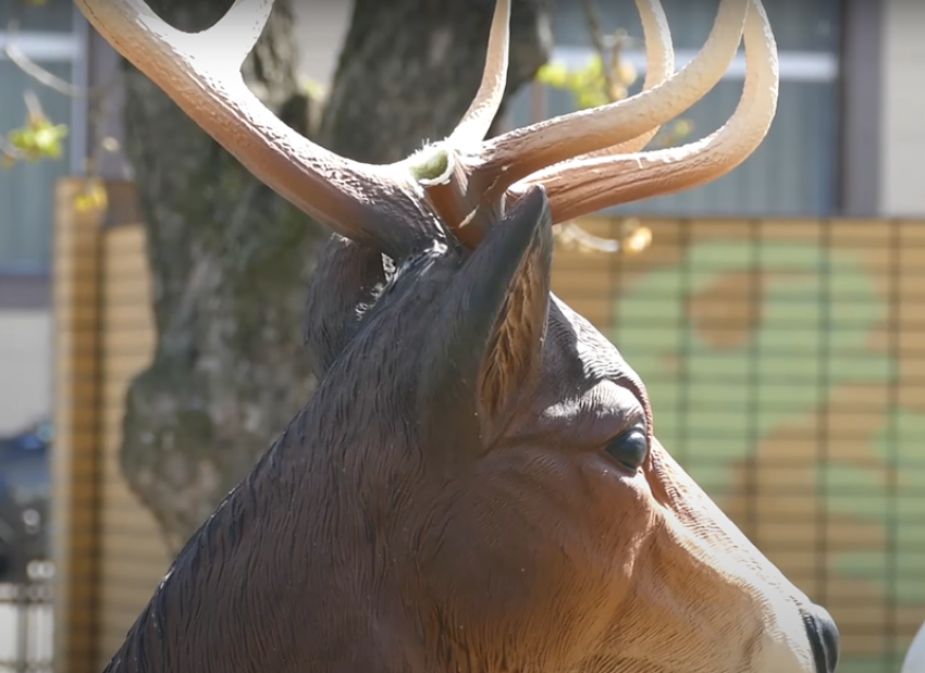 Новый символ Борисоглебска -безрогий олень?