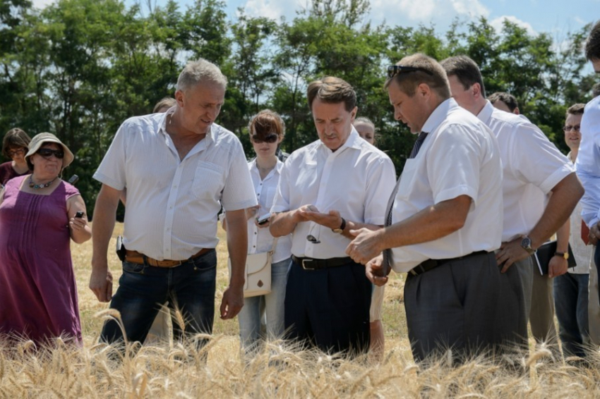 Губернатор Воронежской области прогнозирует хороший урожай зерна