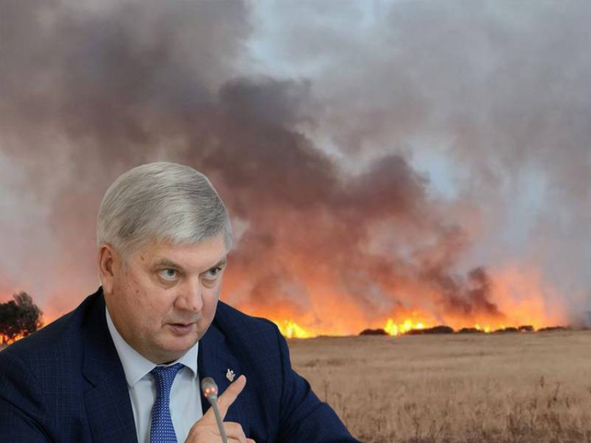 Губернаторский рейтинг Александра Гусева обрушился на фоне пожаров в Воронежской области