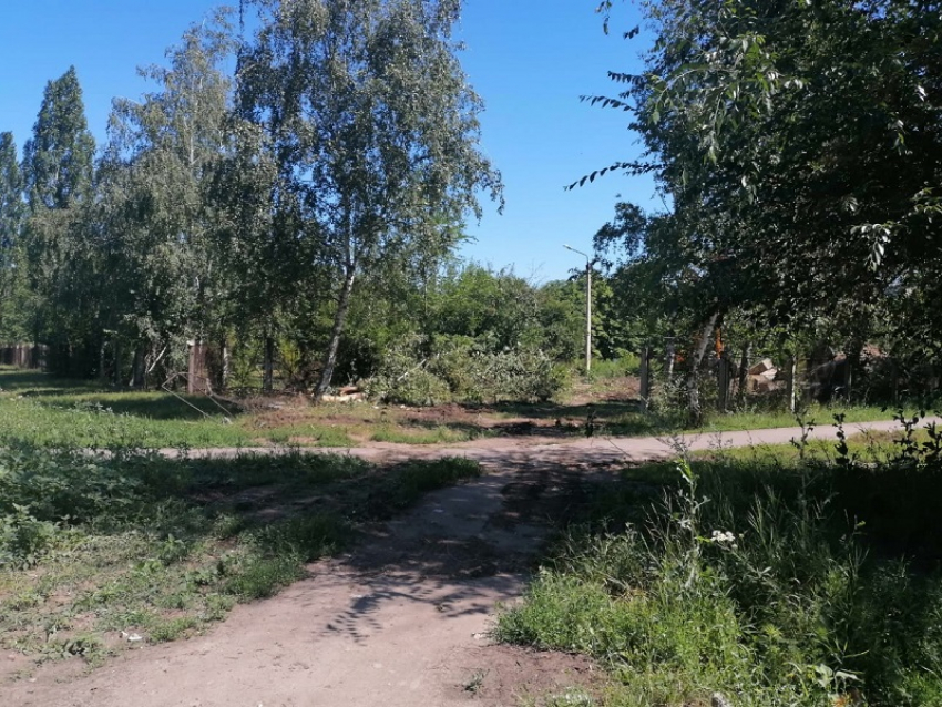 В Борисоглебске ради «благоустройства» уничтожили школьный сад