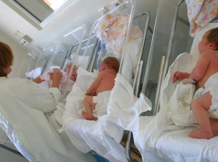 ЗАГС назвал самые популярные и редкие имена новорождённых в Воронежской области