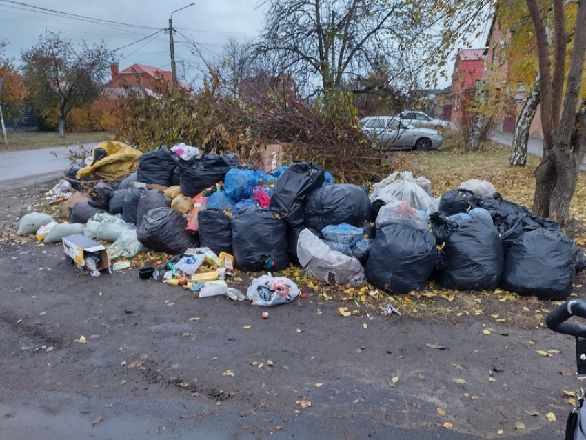 В Борисоглебске вводят «туристический налог»