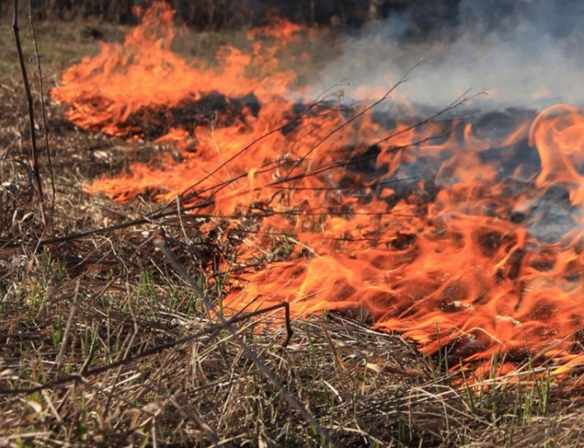 На всей территории Воронежской области установился III класс пожарной опасности