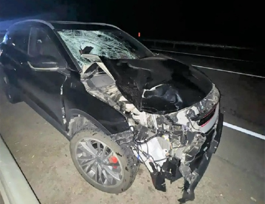 Неопознанного пешехода сбил автомобиль на трассе под Борисоглебском