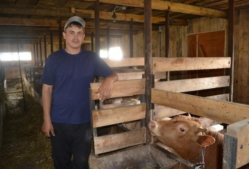 В  Воронежской области селянам возместят часть затрат на покупку животных и птицы