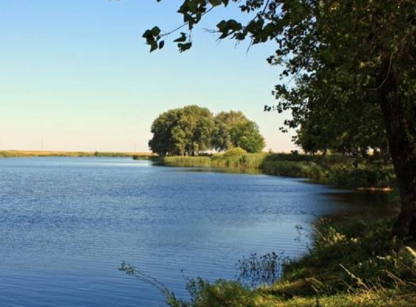 Историю «Пятнадцатого» пруда рассказала пресс-служба администрации Терновского района