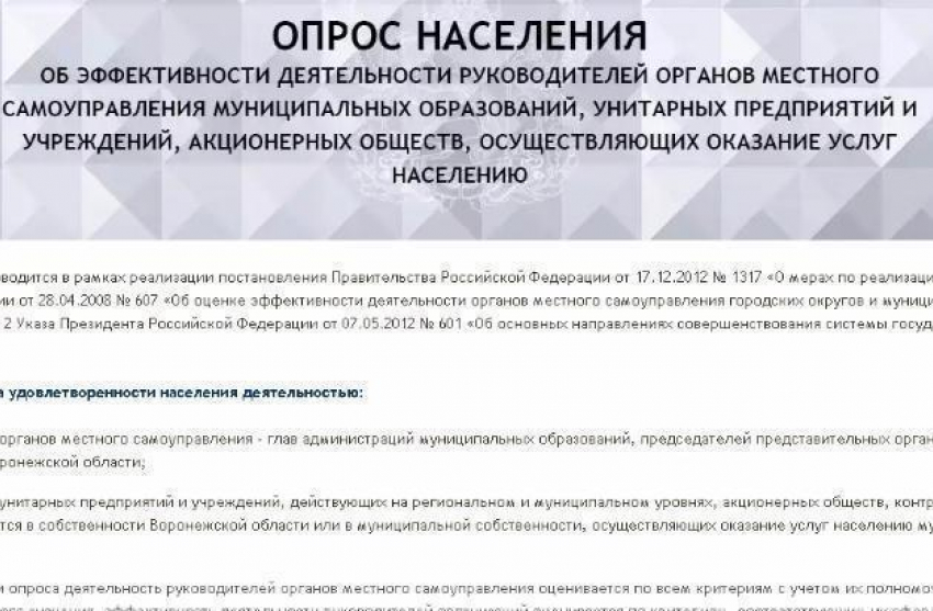 Борисоглебцам предлагают оценить работу местной власти