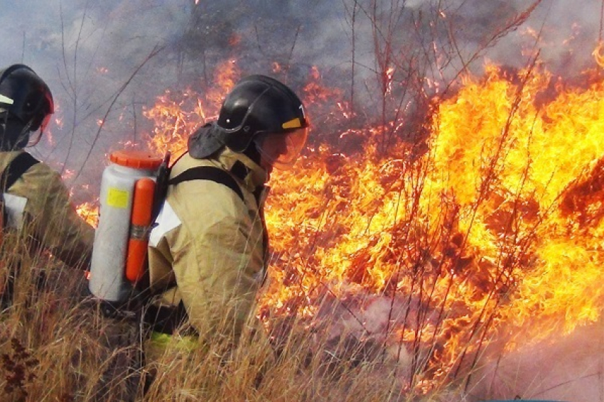 Высший класс пожарной опасности установился в Воронежской области